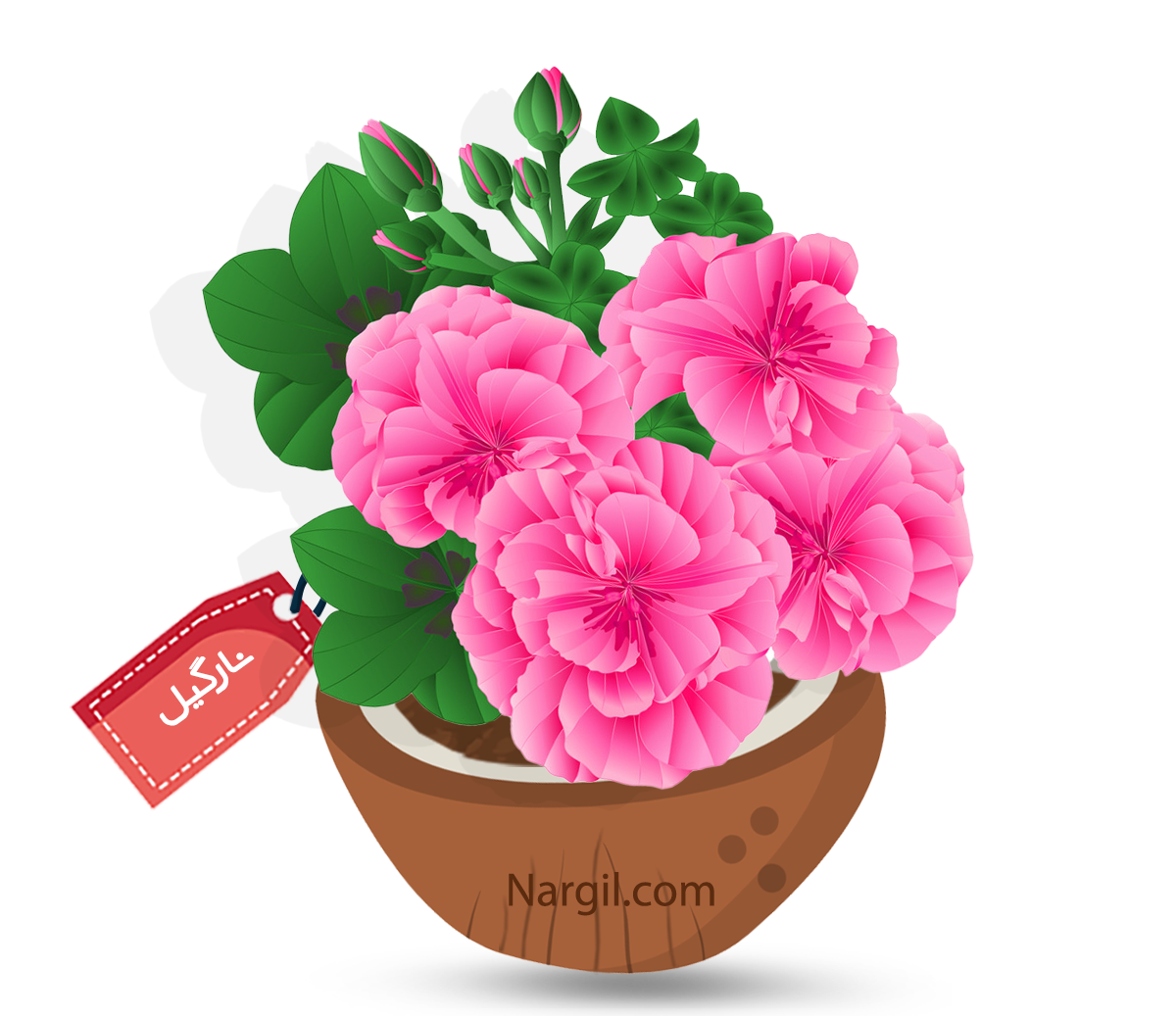  Nargil - Regal Geranium